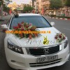 xe hoa tong trang do.jpg